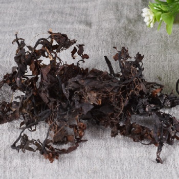 Hai Zao Seaweed alga