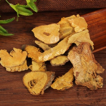 Hu Zhang Polygonum cuspidatum giant knot weed