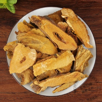 Hu Zhang Polygonum cuspidatum giant knot weed