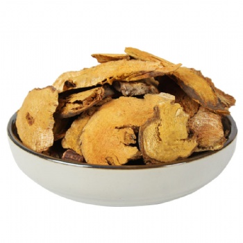 Hu Zhang Polygonum cuspidatum giant knot weed