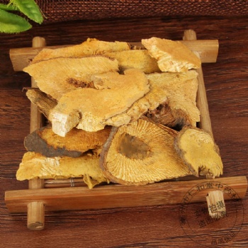 Hu Zhang Polygonum cuspidatum giant knot weed