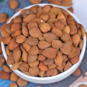 Ku Xing Ren Bitter Apricot Seed almond