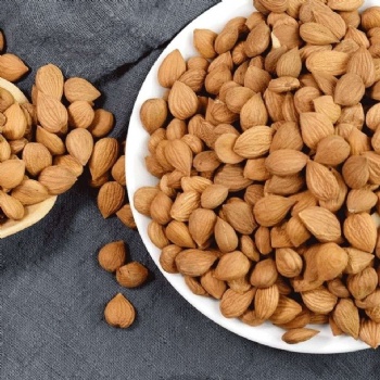 Ku Xing Ren Bitter Apricot Seed almond
