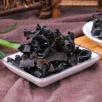 Kun Bu Laminariae Thallus konbu