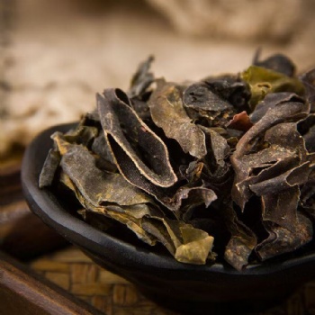 Kun Bu Laminariae Thallus konbu