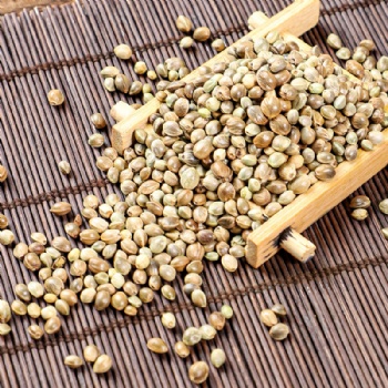 Huo Ma Ren Hemp Seed Fructus Cannabis