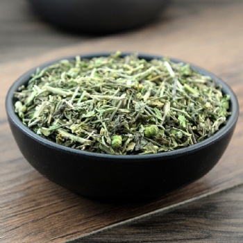 Tou Gu Cao phryma leptostachya garden balsam stem