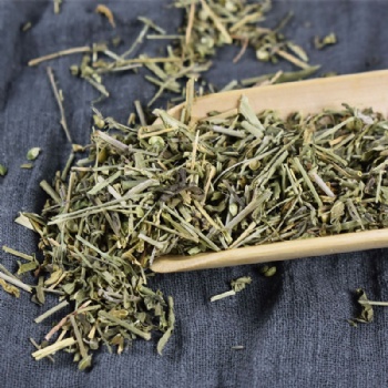 Tou Gu Cao phryma leptostachya garden balsam stem