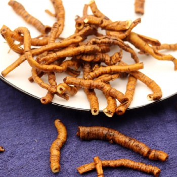 Zhi Yuan Zhi Thinleaf Milkwort Root polygala tenuifolia