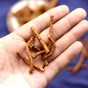 Zhi Yuan Zhi Thinleaf Milkwort Root polygala tenuifolia