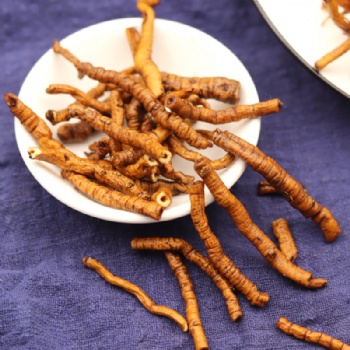 Zhi Yuan Zhi Thinleaf Milkwort Root polygala tenuifolia