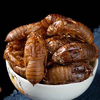 Chan Tui Cicada Slough