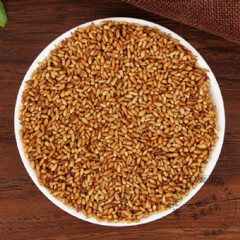 Bai Zi Ren Platycladi Semen biota seed