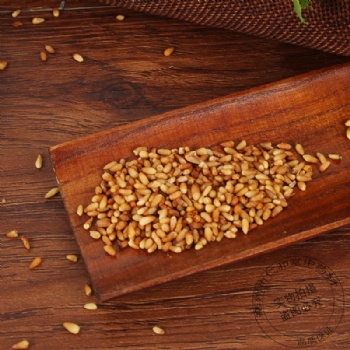 Bai Zi Ren Platycladi Semen biota seed