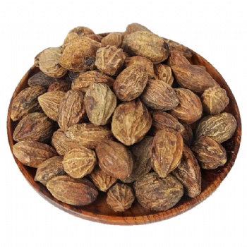 He Zi fructus chebulae Terminalia Fruit