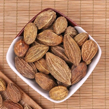 He Zi fructus chebulae Terminalia Fruit