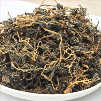 Ma Chi Xian Purslane Portulaca oleracea