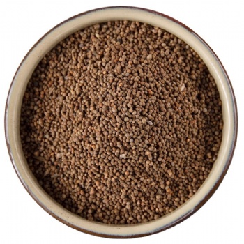 Zi Su Zi fructus perillae