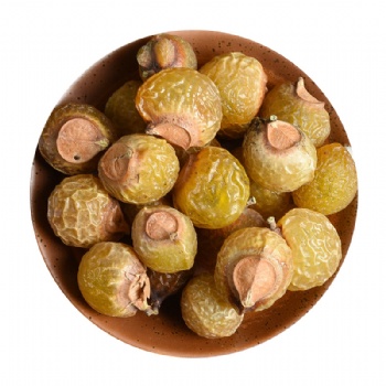 Wu Huan Zi Seed of Chinese Soapberry Sapindus saponaria