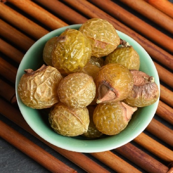 Wu Huan Zi Seed of Chinese Soapberry Sapindus saponaria