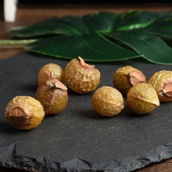 Wu Huan Zi Seed of Chinese Soapberry Sapindus saponaria