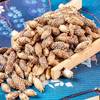 Cang Er Zi Siberian Cocklebur Fruit Xanthii Fructus