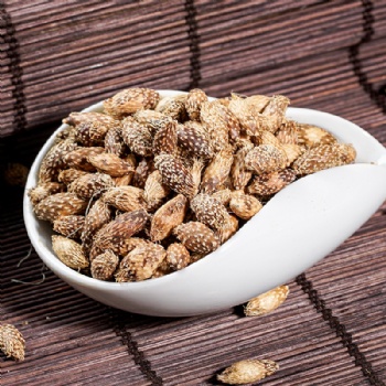 Cang Er Zi Siberian Cocklebur Fruit Xanthii Fructus