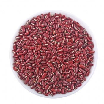 Chi Xiao Dou Vigna umbellata Rice bean