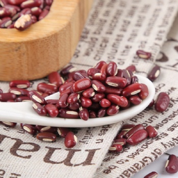 Chi Xiao Dou Vigna umbellata Rice bean