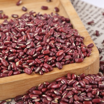 Chi Xiao Dou Vigna umbellata Rice bean