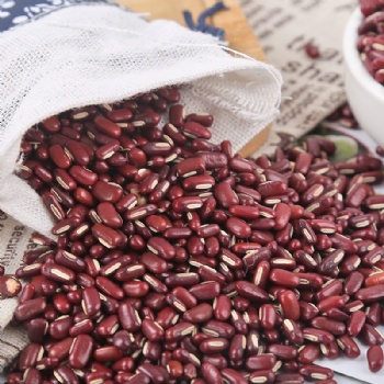 Chi Xiao Dou Vigna umbellata Rice bean