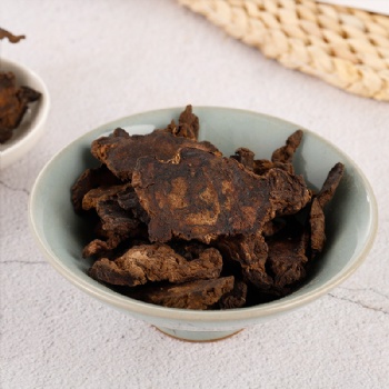 Di Huang Rehmannia glutinosa Libosch