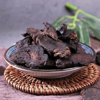 Di Huang Rehmannia glutinosa Libosch