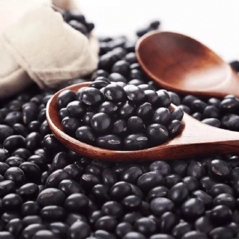 Hei Dou black soya bean