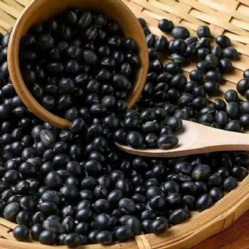 Hei Dou black soya bean