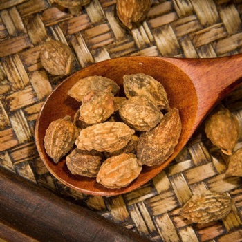 Yi Zhi Ren Sharpleaf Galangal Fruit Alpiniae Oxyphyllae Fructus