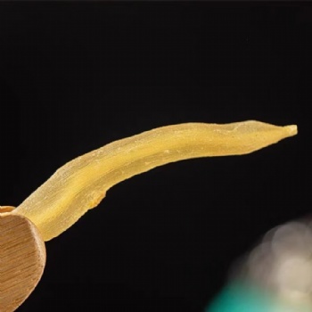 Tian Dong Ge Cochinchinese Asparagus Root