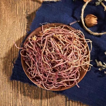 Zi Wan Tatarian Aster Root radix asteris