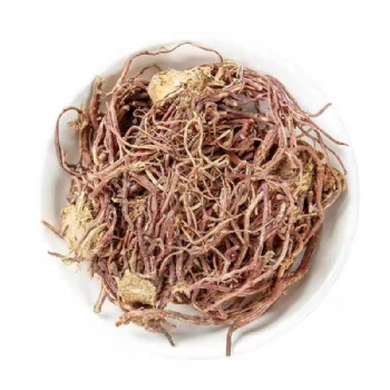 Zi Wan Tatarian Aster Root radix asteris