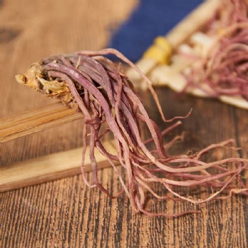 Zi Wan Tatarian Aster Root radix asteris