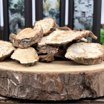 Bai Lian Ampelopsis Radix