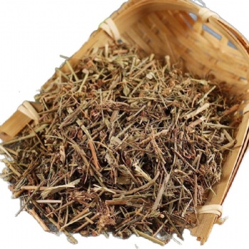 Di Er Cao Hypericum japonicum Thunb