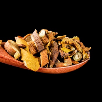 Hu Ji Sheng Colored Mistletoe Herb