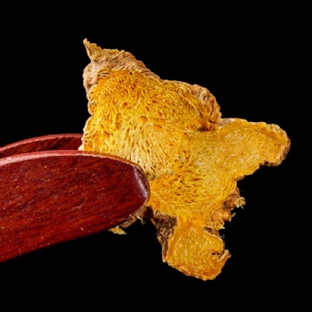 She Gan Blackberrylily Rhizome blackberry lily