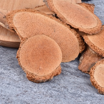 Teng Li Gen Radix Actinidiae chinensis