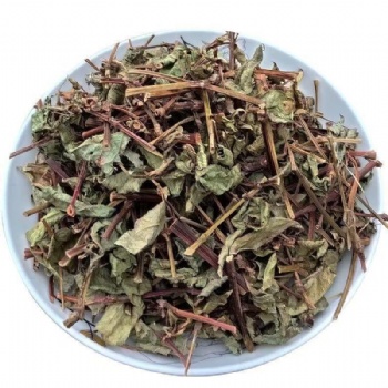 Huo Tan Mu Polygonum sinense L