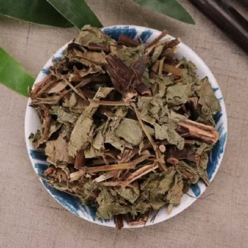 Huo Tan Mu Polygonum sinense L