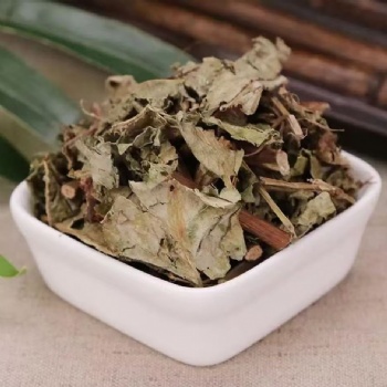 Huo Tan Mu Polygonum sinense L