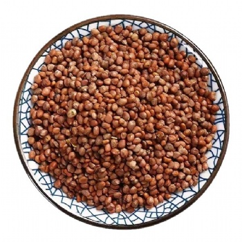 Lai Fu Zi radish seed
