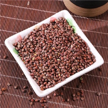 Lai Fu Zi radish seed